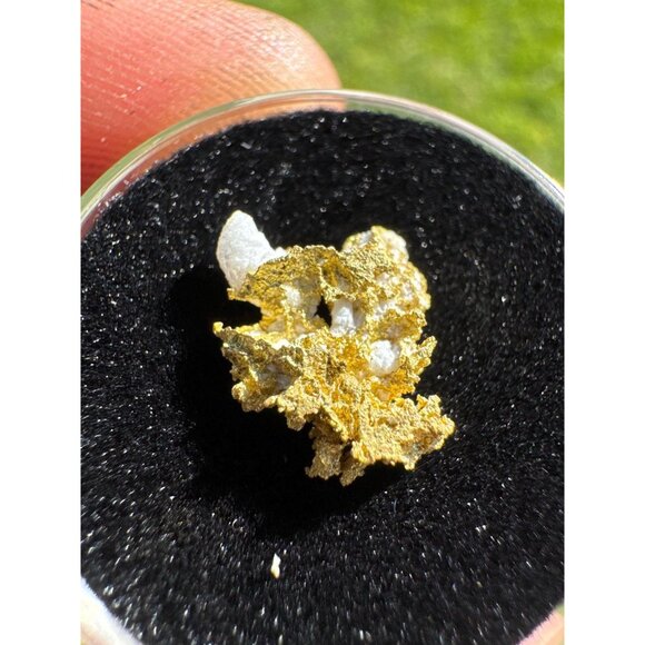 California Native Gold on Quartz Crystal - 0.76 grams - Picture 4 of 7
